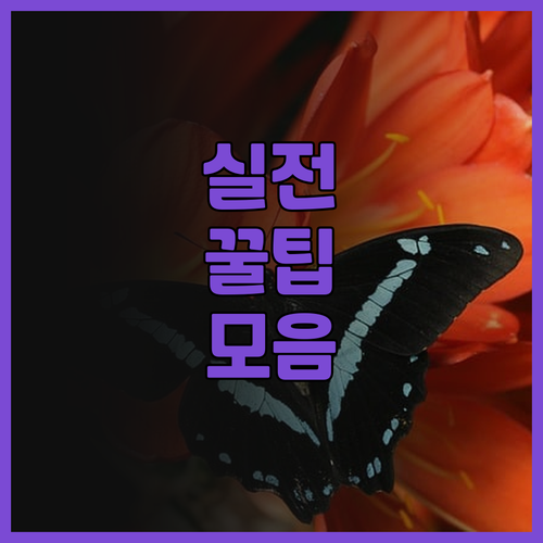 광저우 여행 필수 숙소 추천 S&P 