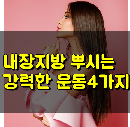 내장지방빼는법 다 뿌셔버리는 강력한운동 4가지