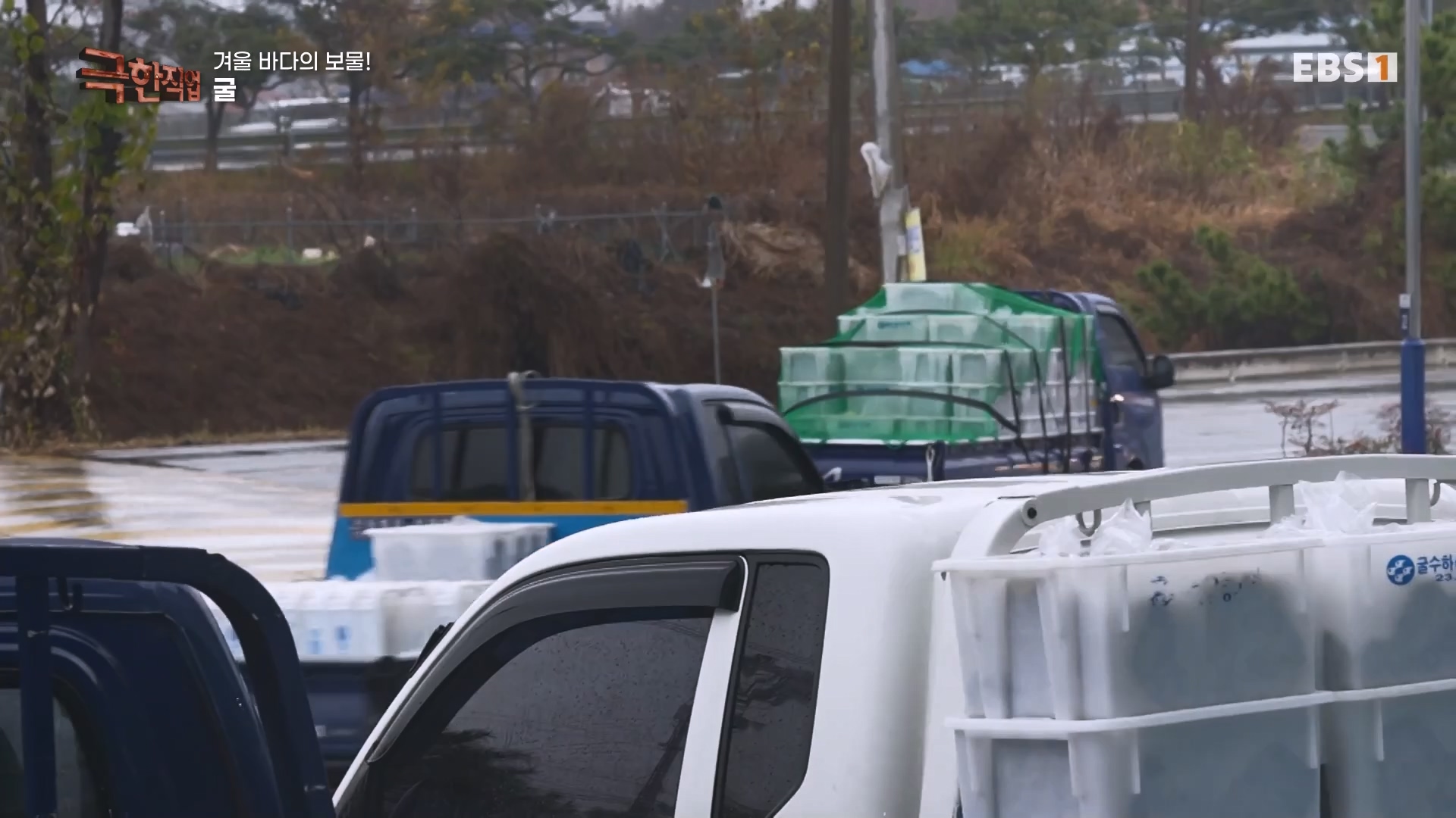 극한직업.231230p-겨울 바다의 보물.mkv_20231231_154507.455.jpg