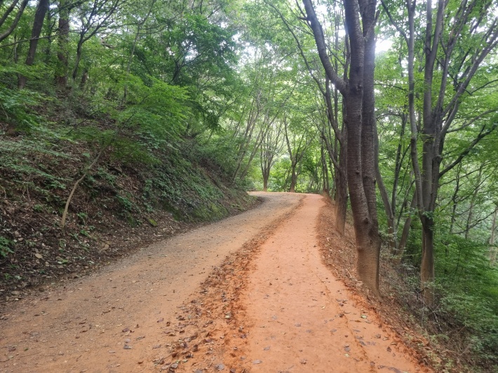 계족산황톳길