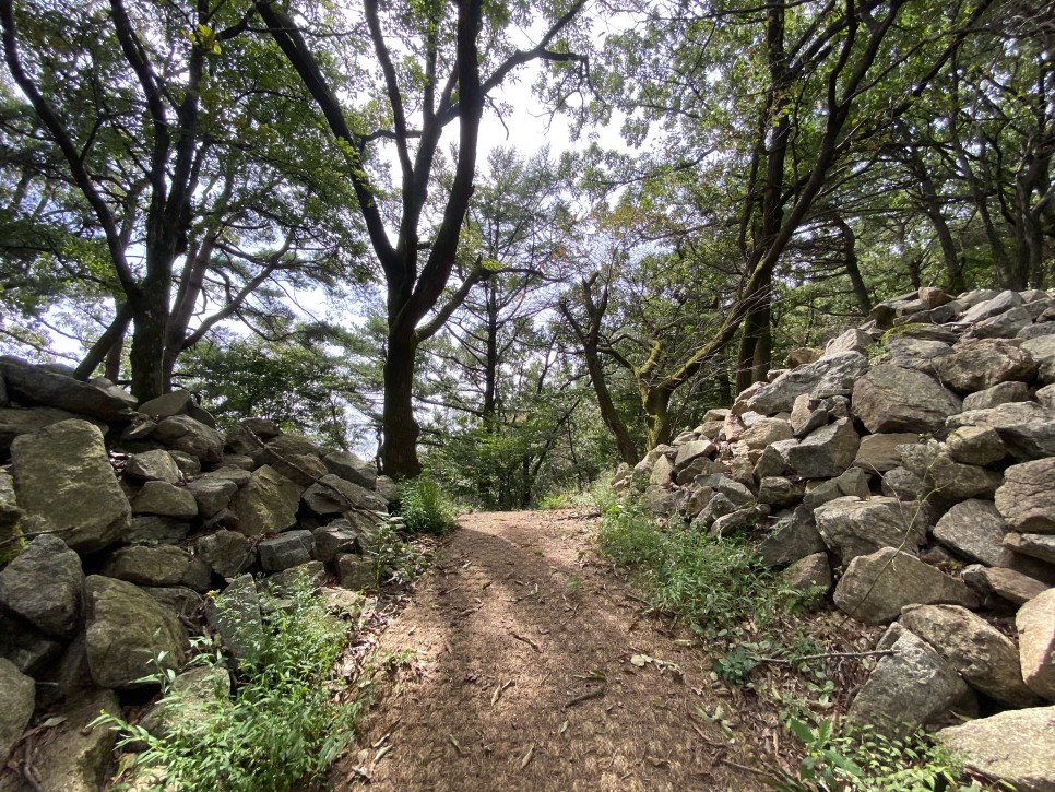 홍길동이 다녀간 27