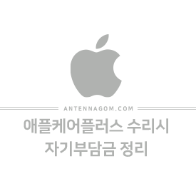  애플케어플러스 수리시 자기부담금 정리 (아이폰11, 아이폰11프로, 맥스, 아이패드 등)