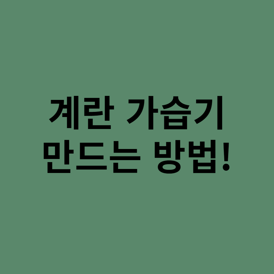  계란 가습기 만드는 법