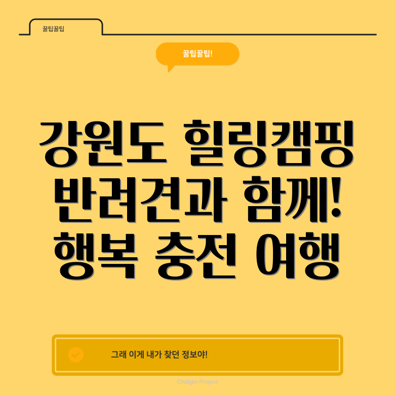 횡성 반려견 동반 캠핑