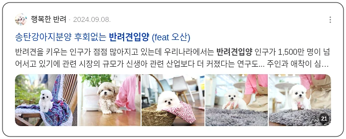 반려견 입양_2_subsection