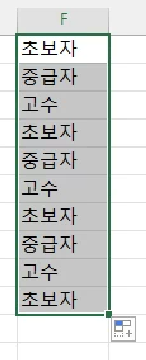 첫 번째 값인 &#39;초보자&#39;만 입력하고 셀 모서리를 드래그합니다. 저장한 목록대로 반복되는 것을 확인할 수 있습니다.