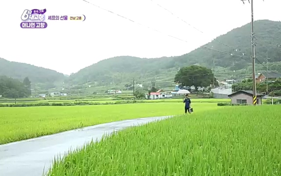 [7614회] 6시 내고향 - KBS7614회] 6시 내고향.ts_20220915_203724.314.jpg