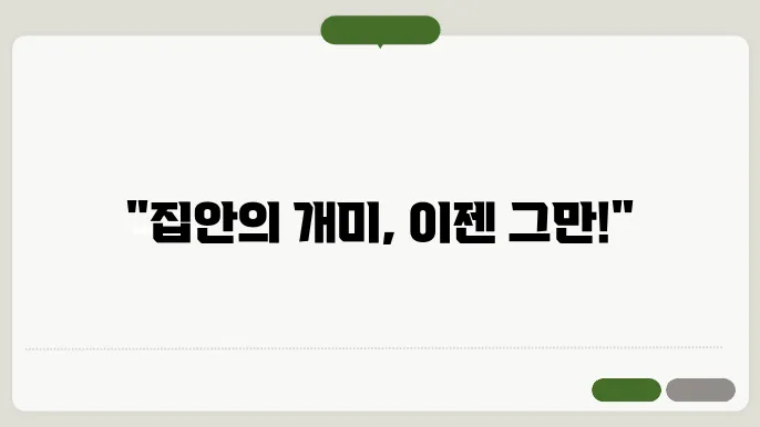 개미 퇴치법 및 없애는 방법