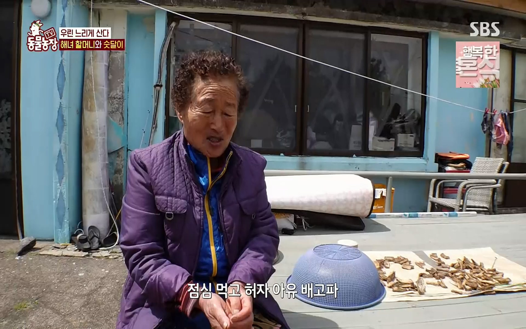 TV 동물농장.E1073.220612p.H264-F1RST.mp4_20220612_181357.931.jpg
