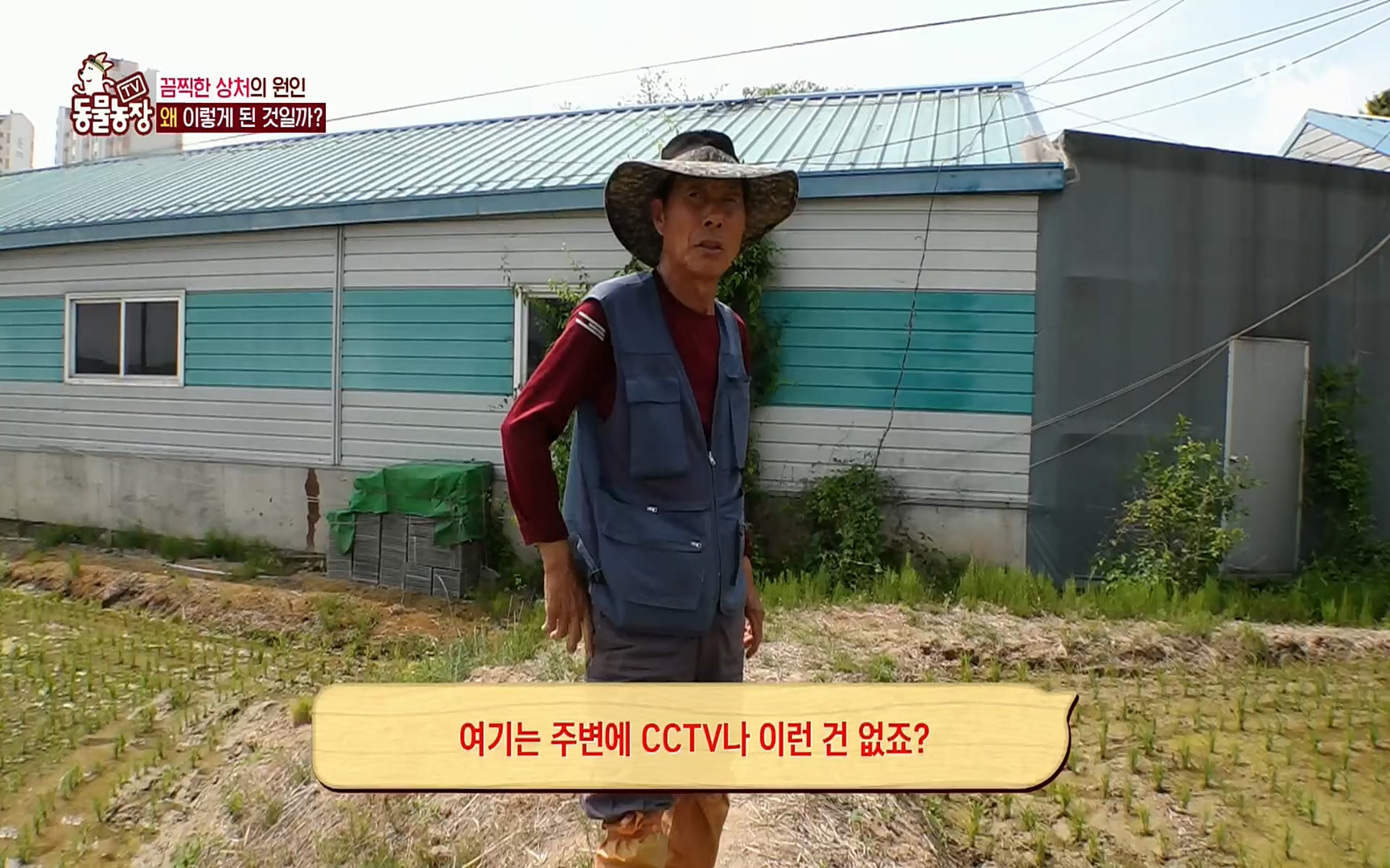 TV 동물농장.E1077.220710p.H264-F1RST.mp4_20220710_175438.931.jpg