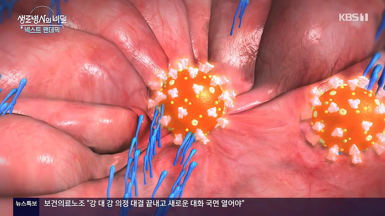 생로병사의 비밀.E914.240606p-NEXT.mp4_20240606_170458.622.jpg