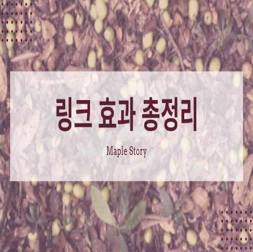  메이플스토리 링크 효과 총정리
