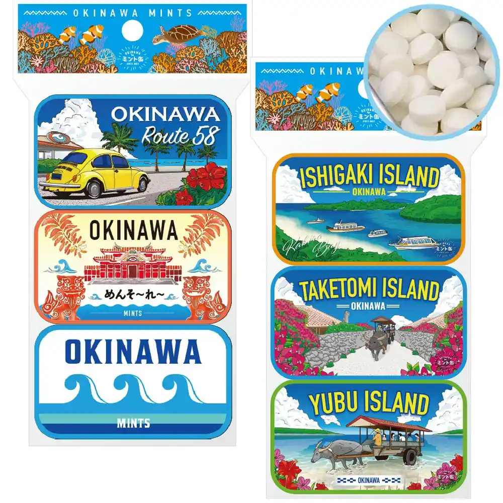 민트캔 재팬 ‘OKINAWA 민트캔’