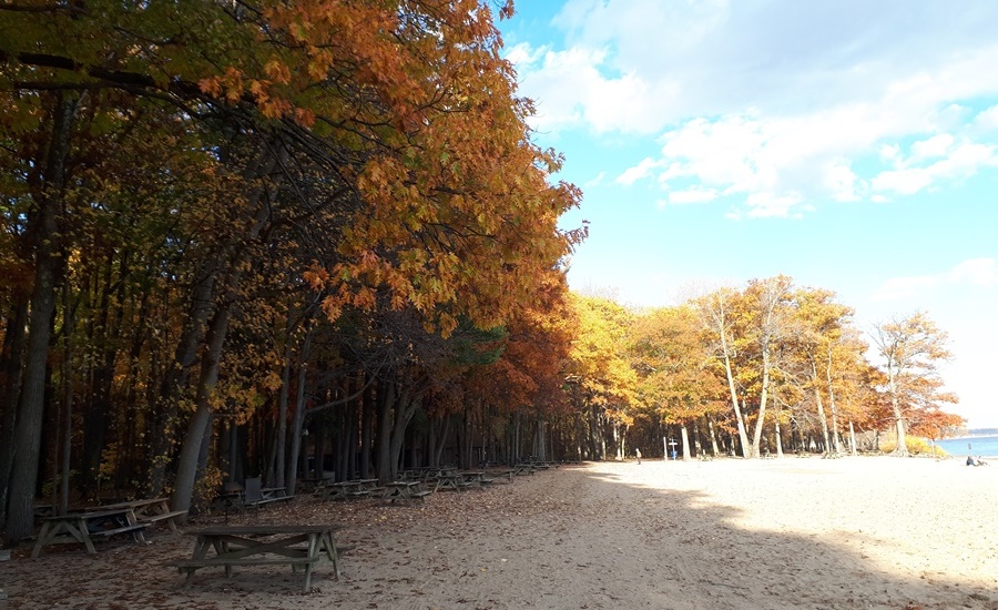 마지막 가을날 즐기기 - 오카 비치(Oka Beach)와 캐나다 아빠의 아이 달래는 법