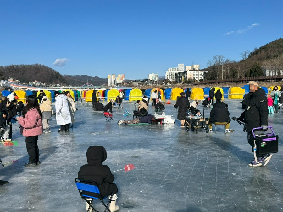평창송어축제