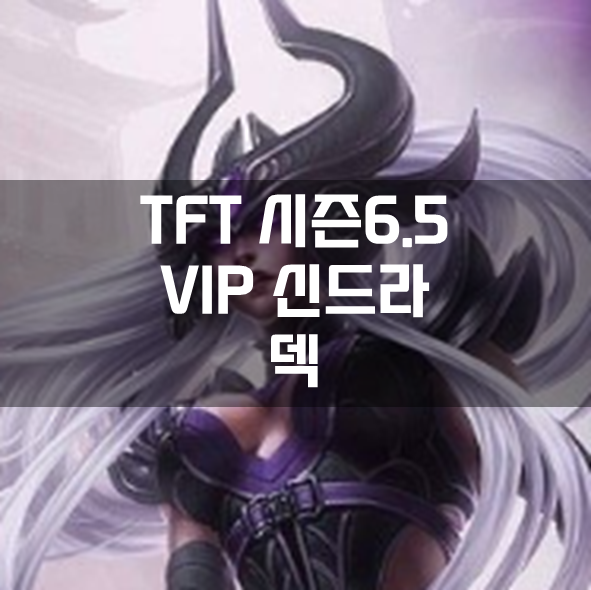  롤체 시즌6.5 VIP 신드라 덱