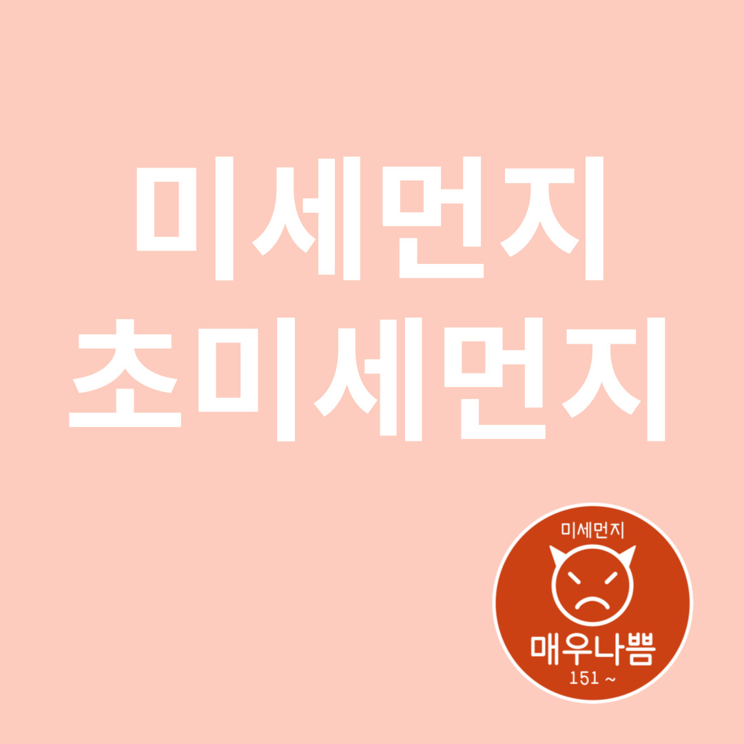 미세먼지와 초미세먼지와 관련된 이미지