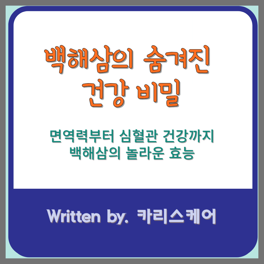 백해삼의 숨겨진 건강 비밀
