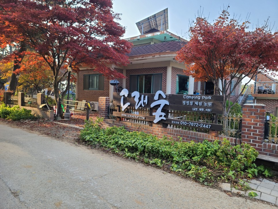  대부도 고래숲 캠핑장에서 솔캠으로 혼자 먹고 혼자 놀기