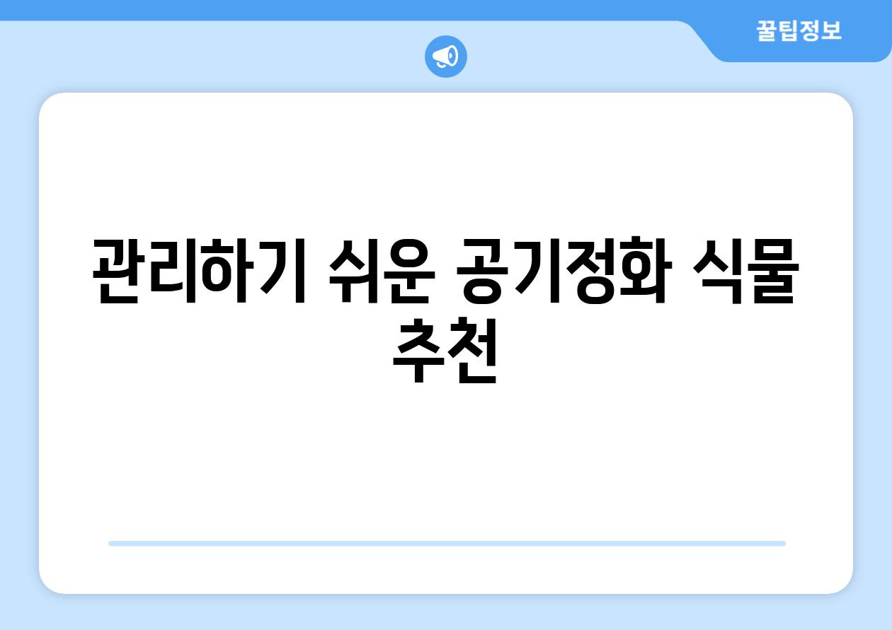 관리하기 쉬운 공기정화 식물 추천