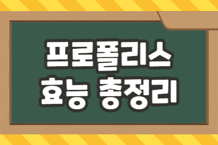 프로폴리스 효능