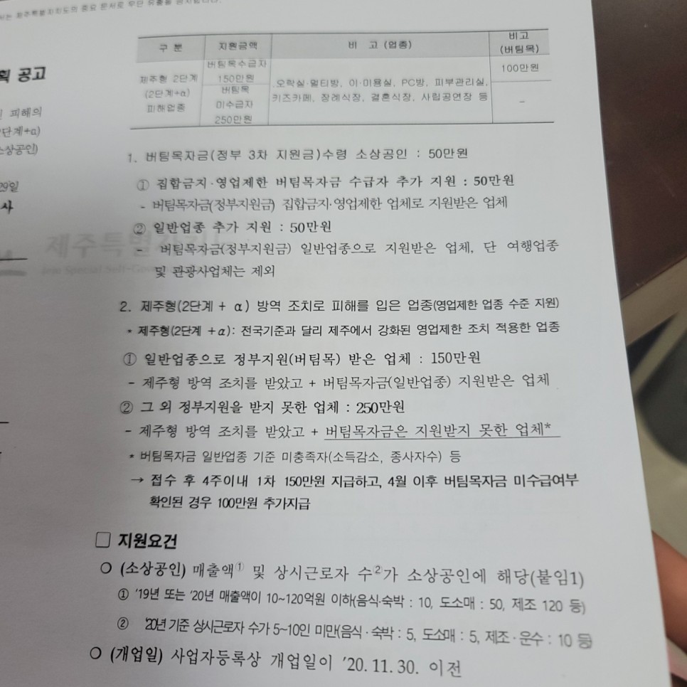제주 소상공인 재난지원금 제주형 재난긴급생활지원금(소상공인)