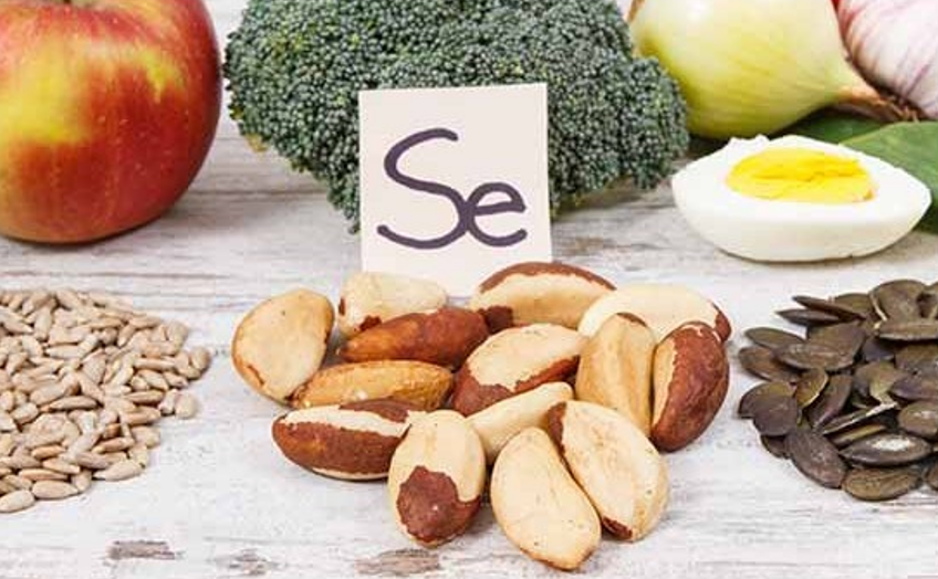  셀레늄 (selenium)의 힘으로 건강을 지켜라! 영양소의 창고!