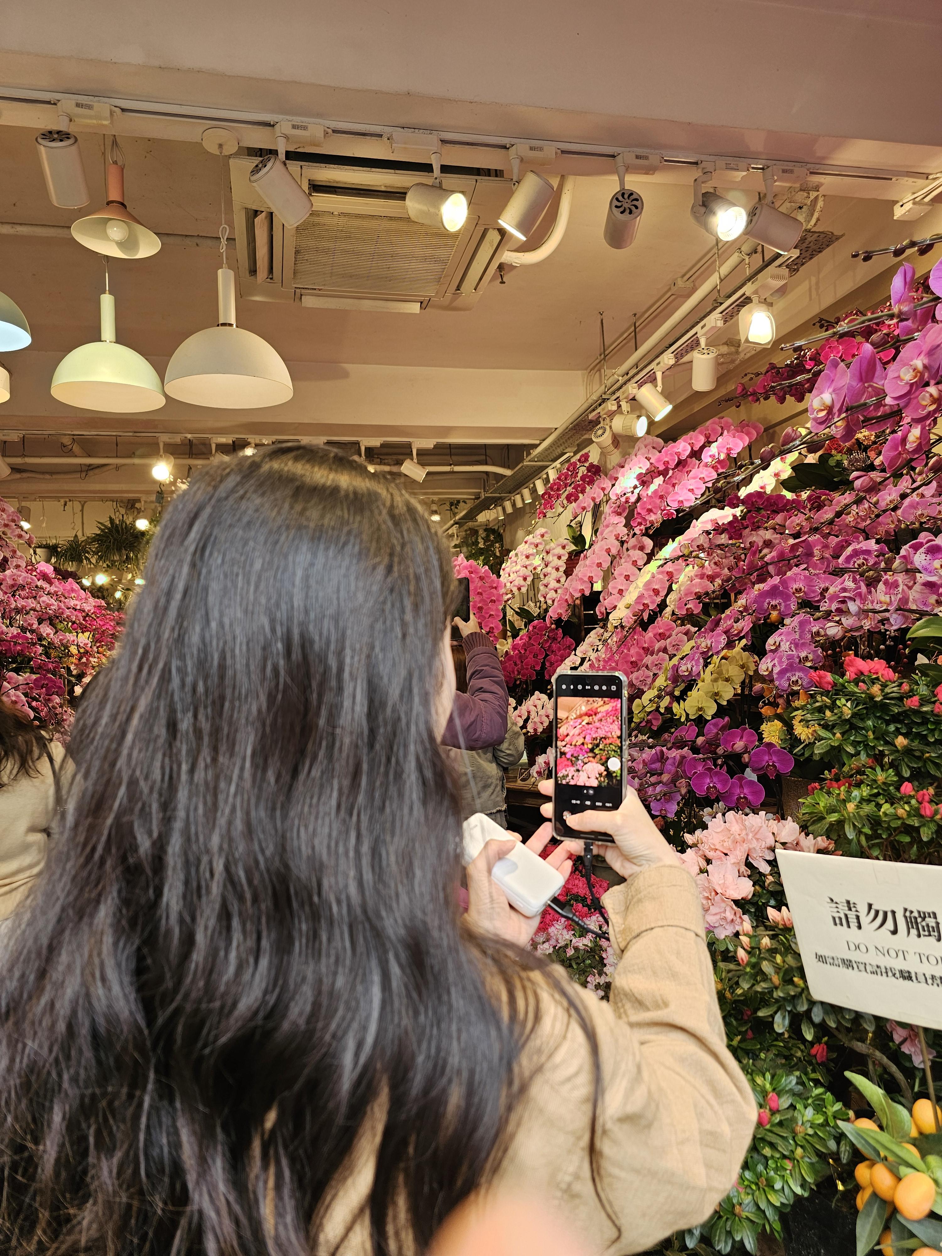 꽃시장 (Flower Market) 