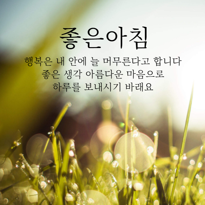 아침인사 이미지 이쁜글 문자