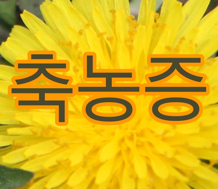  축농증 원인과 예방은?