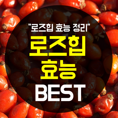  로즈힙 효능 대단하다