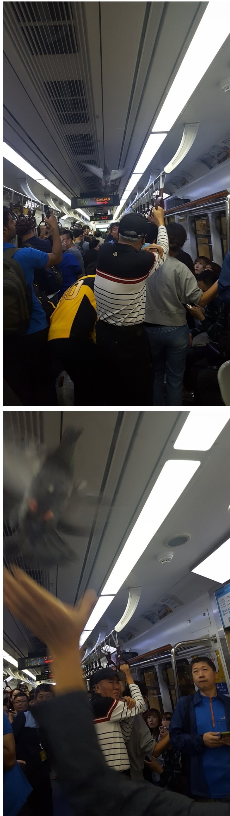  다이나믹 4호선 근황