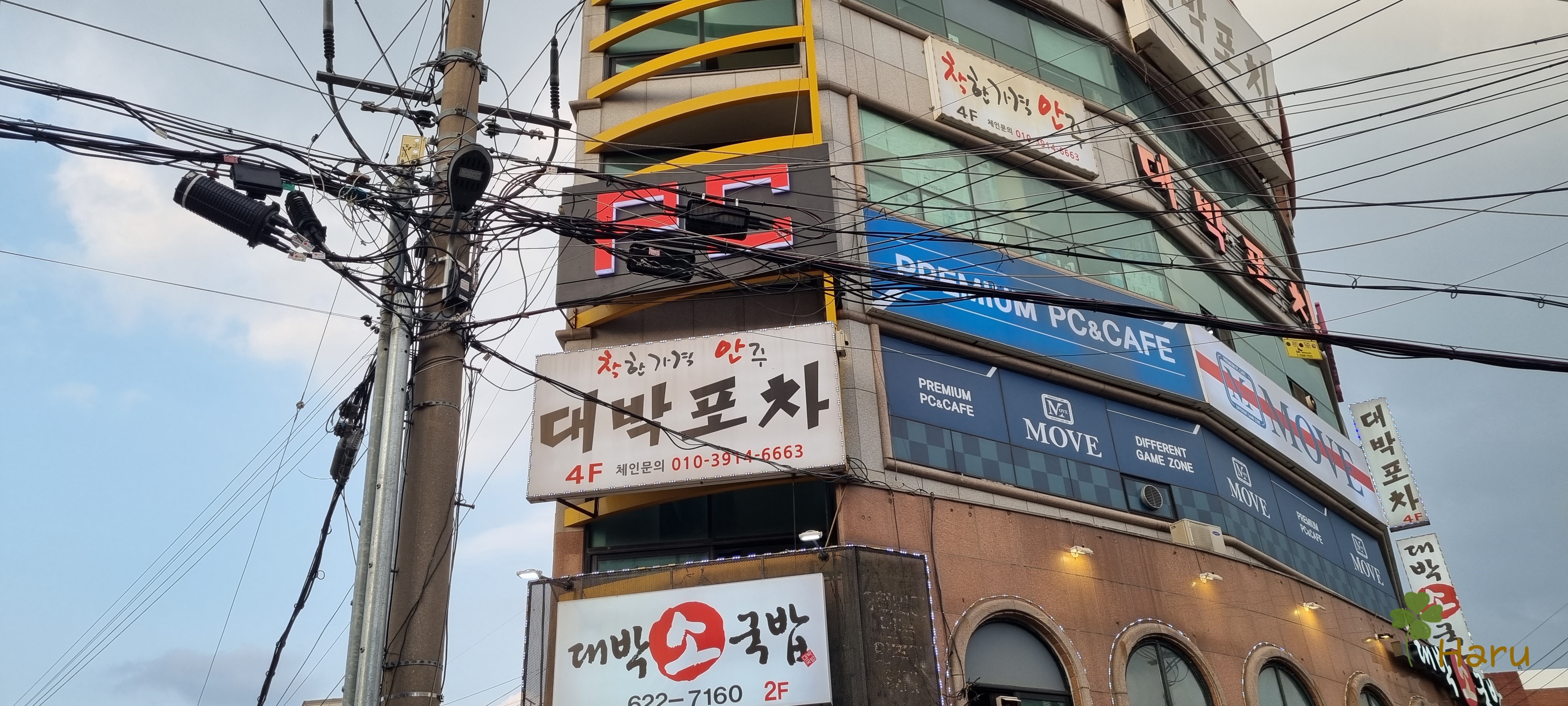 대박포차 이미지