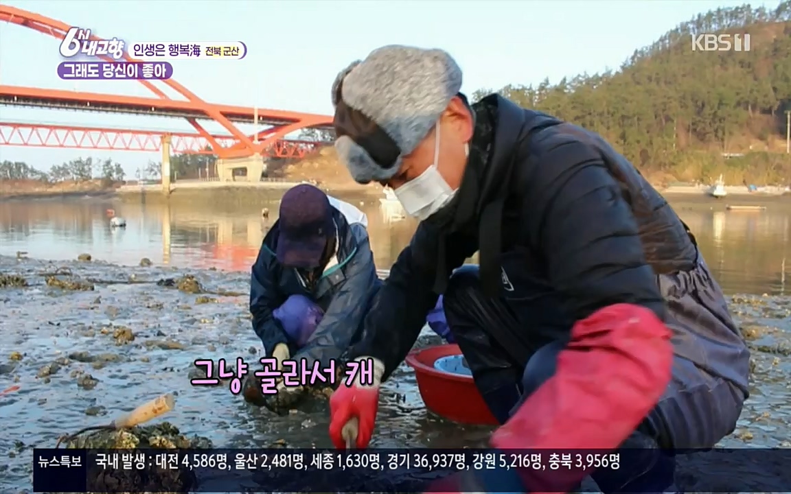 6시 내고향.E7503.220405p.H264-F1RST.mp4_20220405_182927.010.jpg