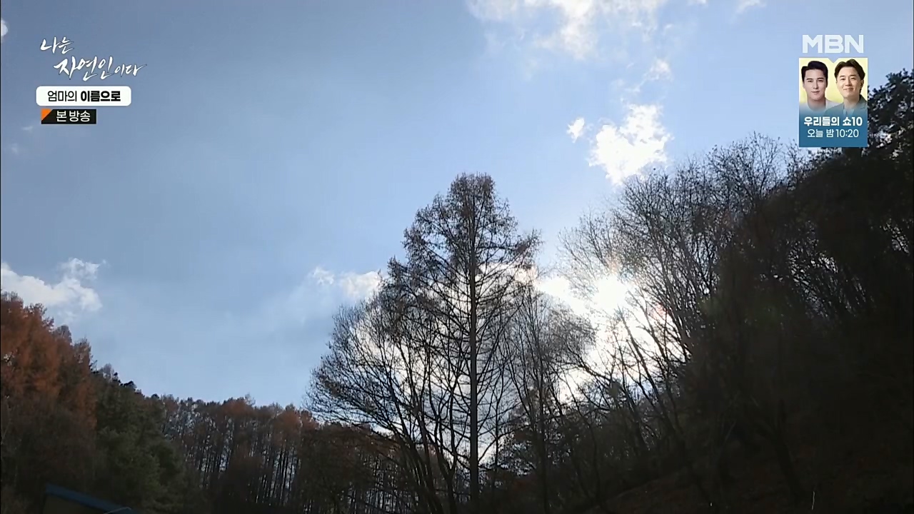 나는 자연인이다.E531.221208p.H264-F1RST.mp4_20221208_204244.319.jpg