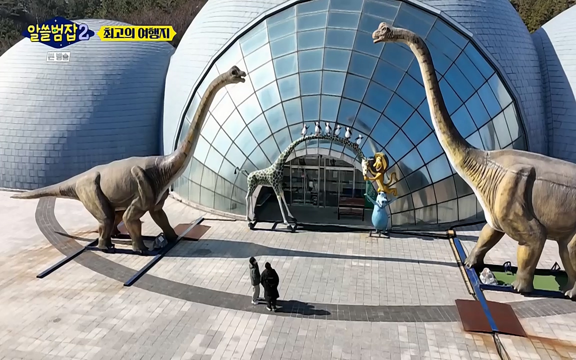 알쓸범잡 2.E16.220502p-NEXT.mp4_20220502_184845.571.jpg