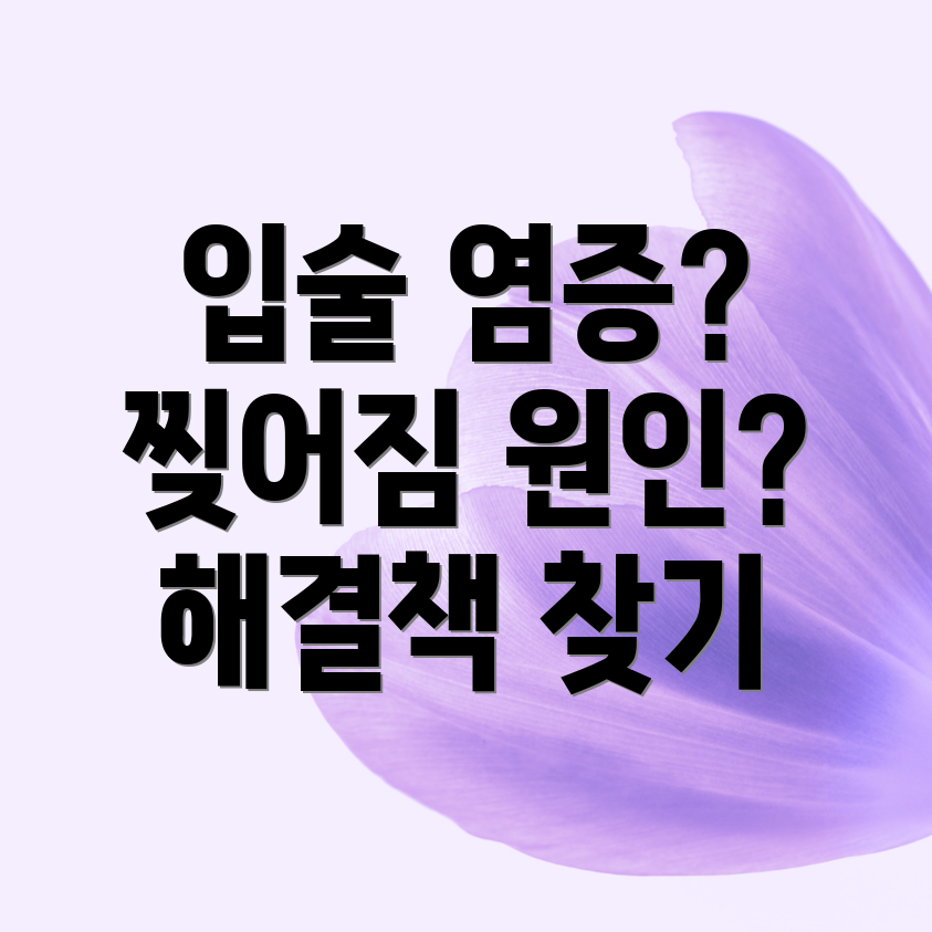 입술 염증