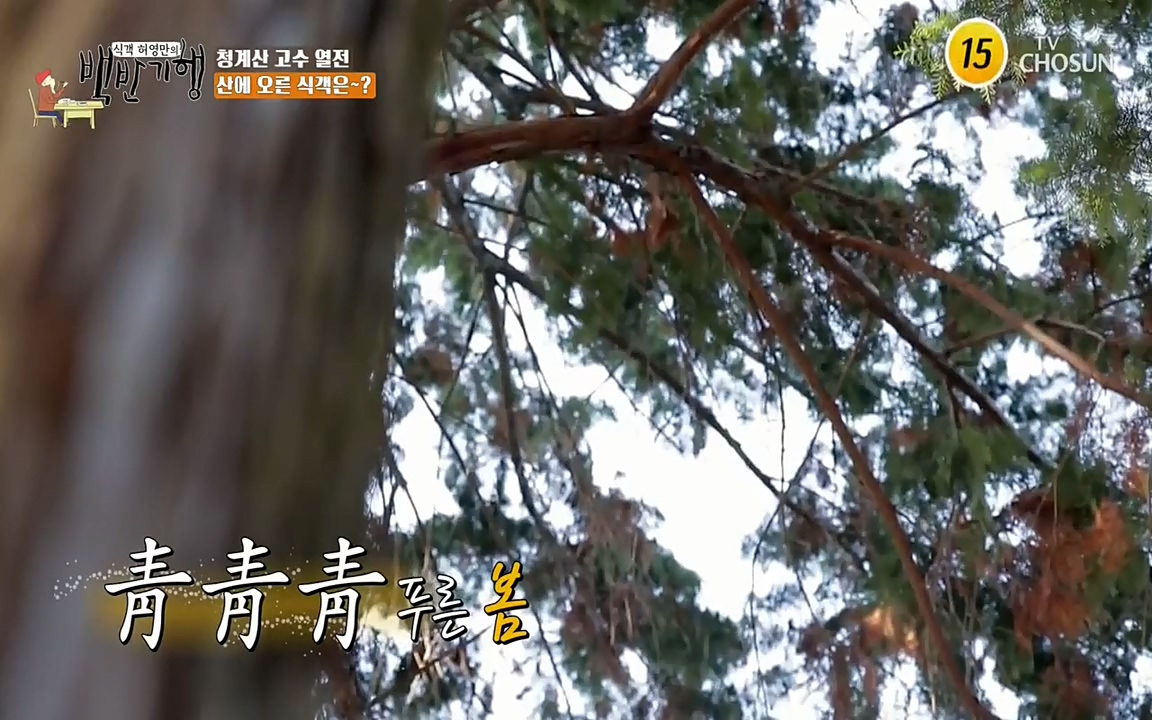 식객 허영만의 백반기행.E147.220409p-NEXT.mp4_20220409_173438.183.jpg