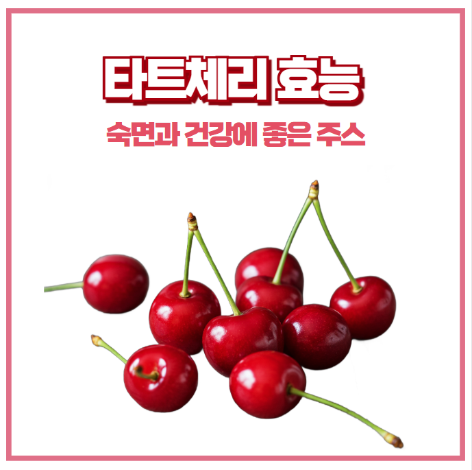 타트체리 효능: 숙면과 건강에 좋은 주스
