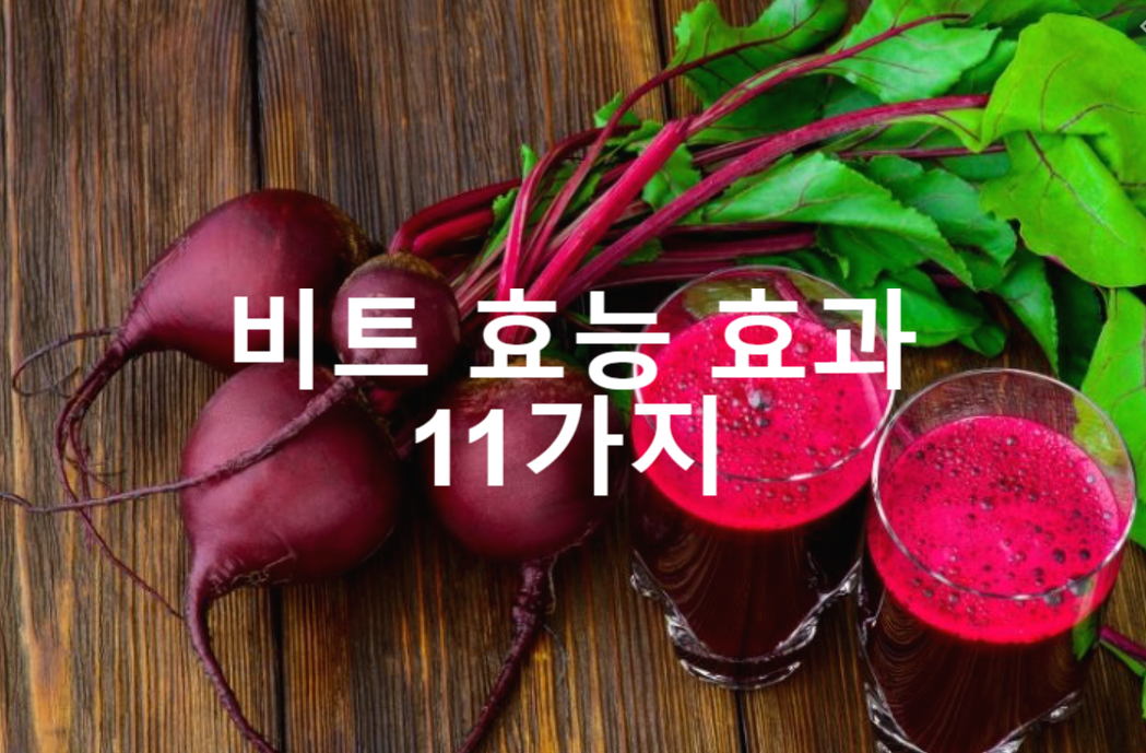  비트 효능 효과 11가지