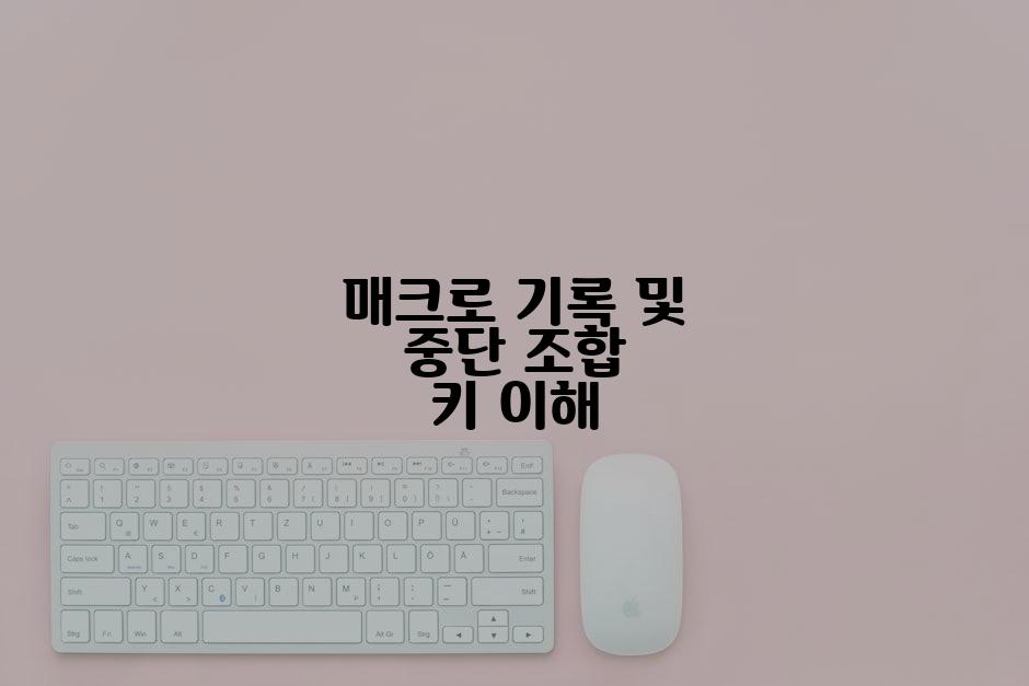 매크로 기록 및 중단 조합 키 이해