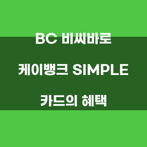비씨케이시스템 이미지
