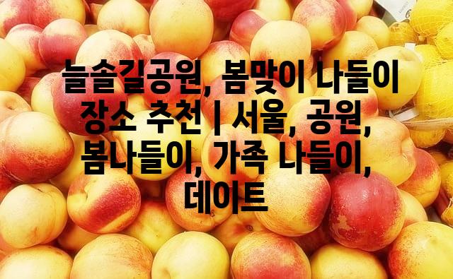 랜덤113