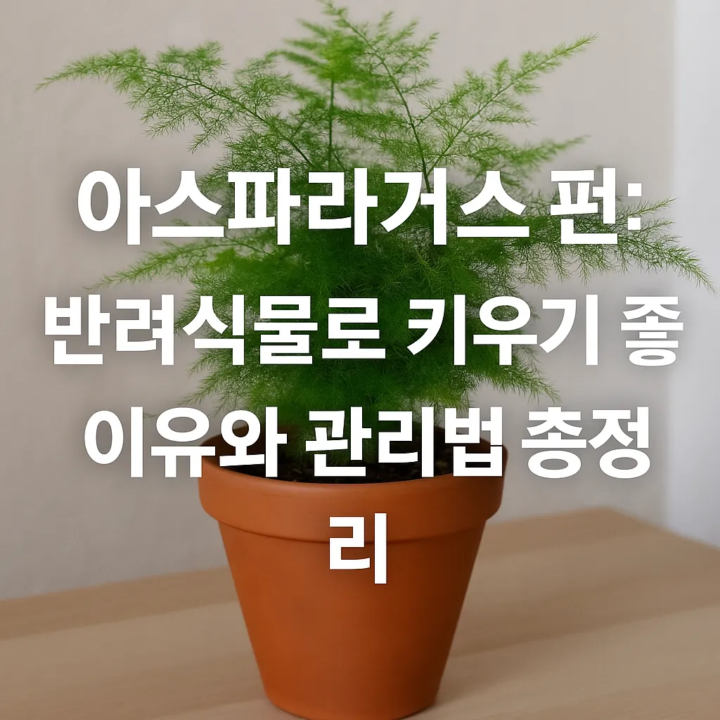 펀 이미지