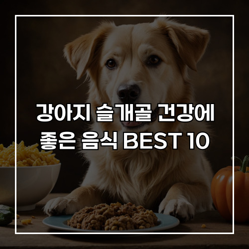 강아지 슬개골 건강에 좋은 음식 BEST 10