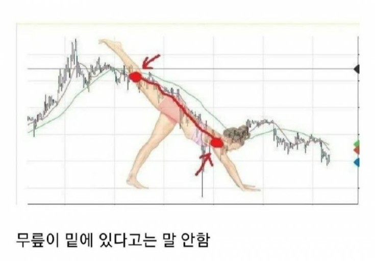  양치하다 미국주식 리밸런싱 결심함