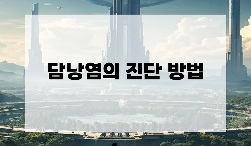 담낭염의 진단 방법