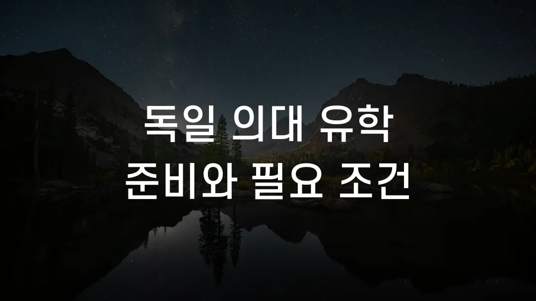 독일 의대 유학 준비와 필요 조건