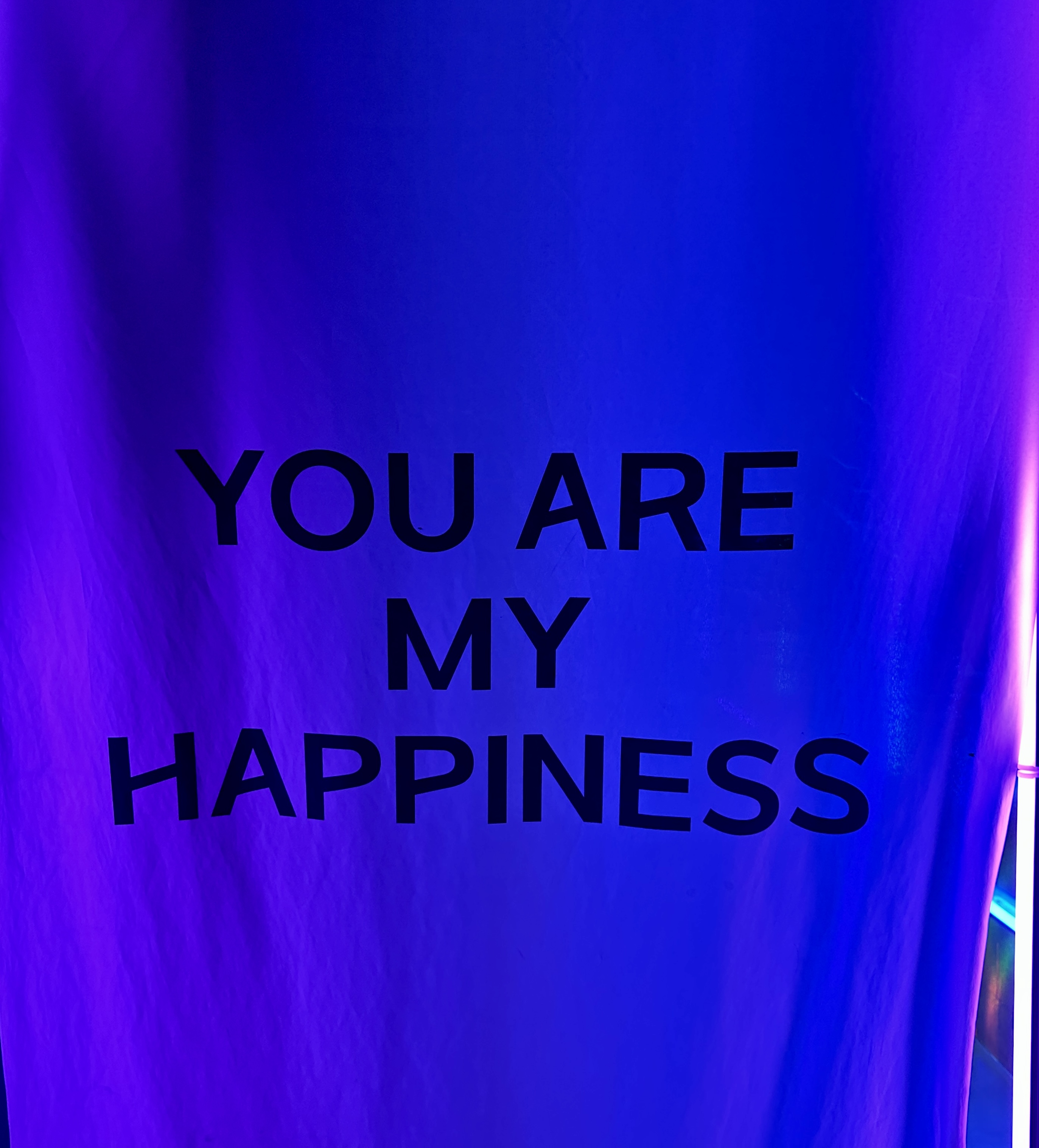 You are my Happiness