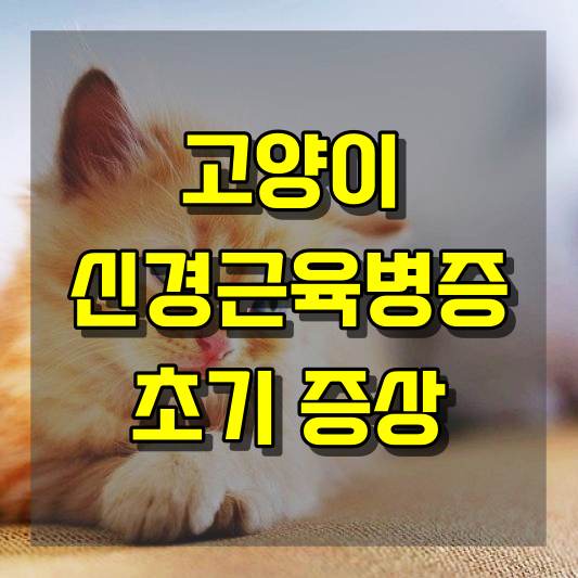 고양이 신경근육병증 초기 증상 및 볼드모트 사료